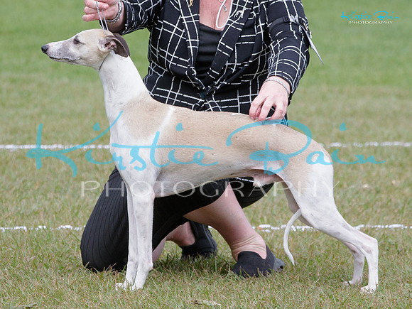 KB016217