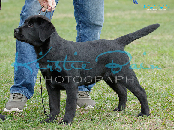 KBS10239