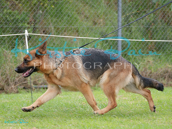 KBP28793