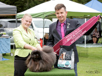 Best in Show - Open Show One