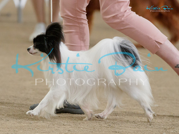 KB013361