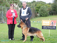 Best in Show