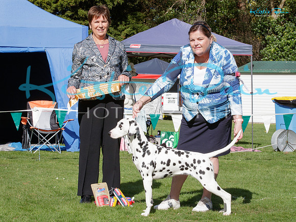 KB018407