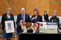 Best in Show One