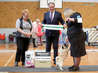 Best in Show Two