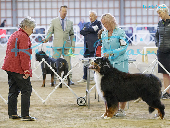 KB011446