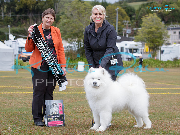 KB018628