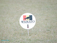 Waikato German Shepherd Dog Club