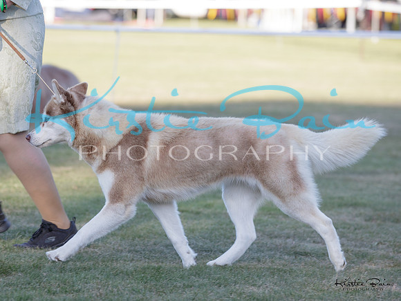 KBP29998