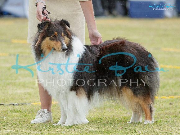 KB011975