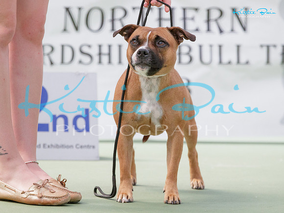 KB019715