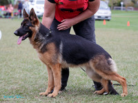 KBP20095