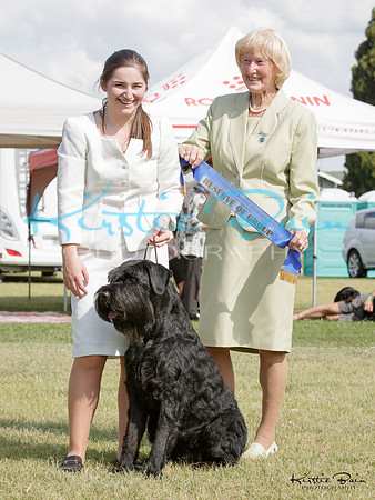KBP25997
