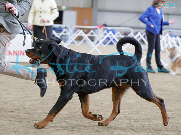 KB018253