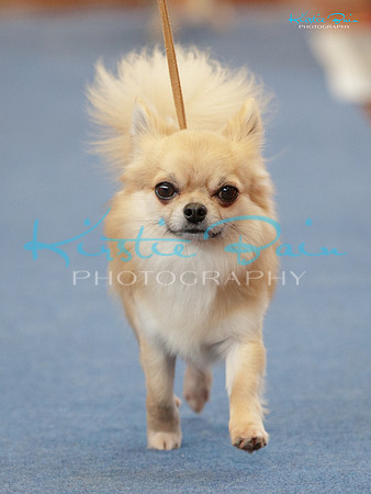 KB016937